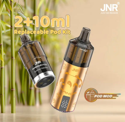 Carton Puff JNR 25500 Panda Rechargeable (Lot de 10)