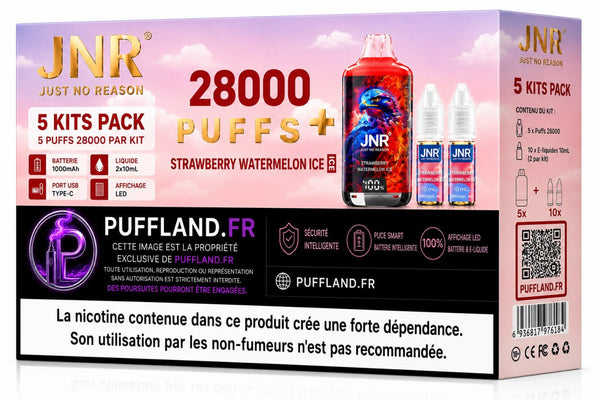 Carton Puff JNR FalconX 28000 (Lot de 5)