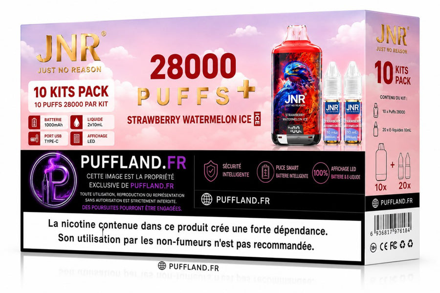 Carton Puff JNR FalconX 28000 (Lot de 10)