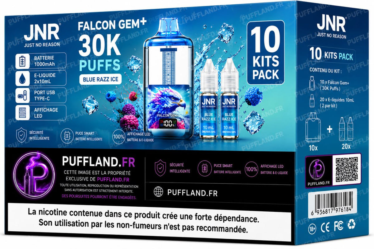 Carton Puff JNR Gem 30000 (Lot de 10)