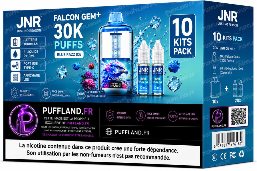 Carton Puff JNR Gem 30000 (Lot de 10)
