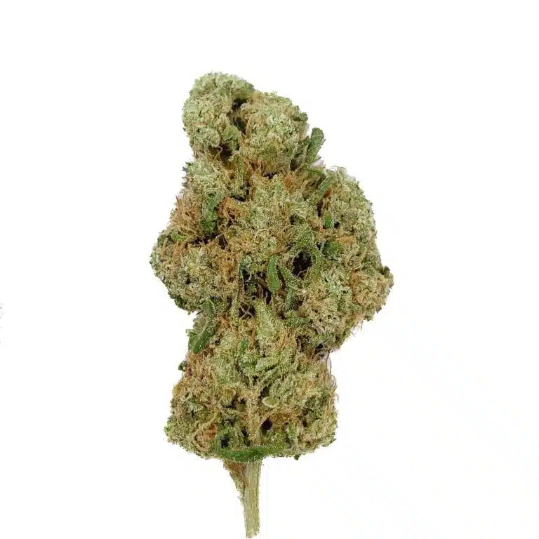 Mango Rainbow - CBD Indoor - Puff Land CBD